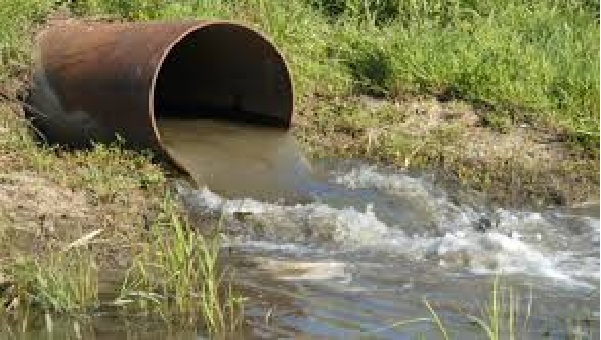 Application d’ordre de destruction de plantations pour irrigation avec des eaux usées à la Manouba